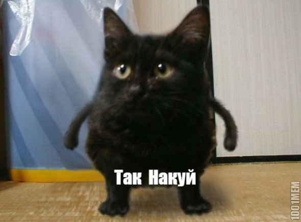 Так Накуй