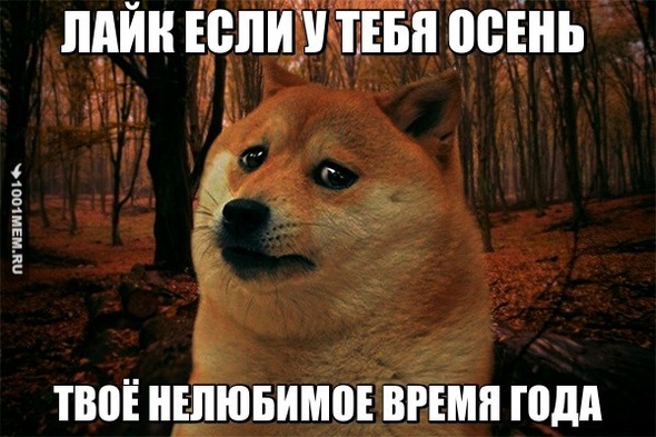 ЕСЛИ ДА СТАВЬ ЛАЙК