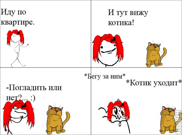 Котик :з