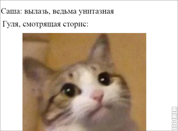 цв